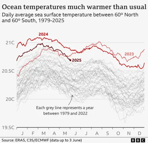 Multi line chart showing daily sea surface temperature between 60º North and 60º South between 1979 and 2025. Each grey line represents a year between 1979 and 2022, and the last three years are coloured in different shades of red. These recent years stand out as significantly warmer than the historical average.