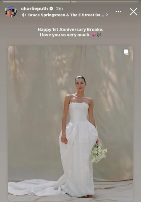 Charlie Puth, wife Brooke Sansone mark one-year wedding anniversary